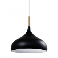 Фото Подвесной светильник Moderli V1291-1P