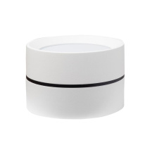 Цена на Влагозащищенный светильник LeDron BARREL MINI White