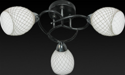 Купить Накладная люстра TOPLIGHT TL7430X-03BP