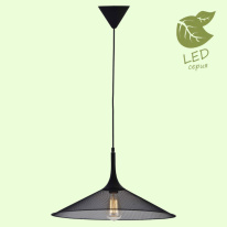 Фото Подвесной светильник Lussole GRLSP-9813