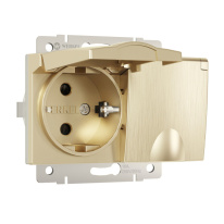 Фото Розетка Werkel W1172210