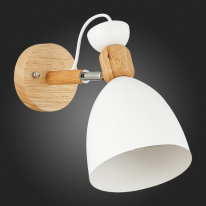 Купить с доставкой по Москве и России Бра Evoluce SLE103801-01