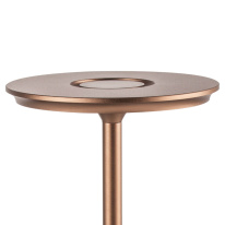 Купить Настольная лампа Lightstar 745901