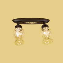 Купить Спот Citilux CL413121