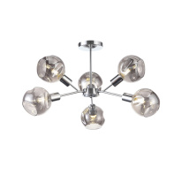 Фото Люстра на штанге Evoluce SLE155102-06