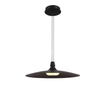 Фото Подвесной светильник Lightstar 737427