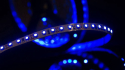 Лента SWG SWG3120-12-9.6-B-M в интернет магазине Гет Лайт