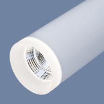 Цена на Спот Elektrostandard DLS022 9W 4200K белый матовый