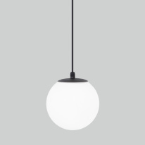 Фото Подвесной уличный светильник Elektrostandard Sfera H черный D150 (35158/H)