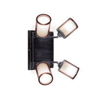 Фото Спот Citilux CL535541