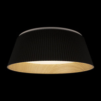 Купить с доставкой по Москве и России Накладной светильник LOFT IT 10224 Black