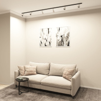 Цена на Светильник на шине Denkirs DK6050-BW+BK