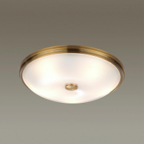 Накладной светильник Odeon Light 4956/5 Купить Накладной светильник Odeon Light 4956/5