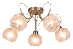 Фото Накладная люстра TOPLIGHT TL3740X-05AB