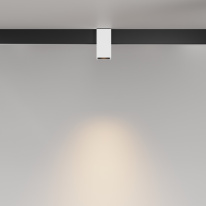 Цена на Светильник на шине Maytoni Technical TR121-2-7W3K-W