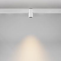 Цена на Светильник на шине Maytoni Technical TR122-2-7W3K-W