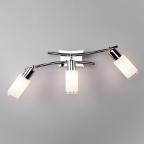 Купить Спот Eurosvet 20030/3 хром