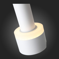 Купить с доставкой по Москве и России Подвесной светильник ST-Luce ST102.503.12