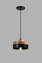 Фото Подвесной светильник Moderli V10478-1P