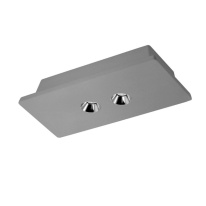 Накладной светильник LOFT IT OL1072-GH/2 Фото Накладной светильник LOFT IT OL1072-GH/2