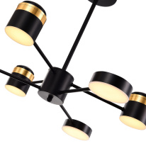 Купить Люстра на штанге Evoluce SLE6007-402-06