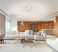 Купить с доставкой по Москве и России Накладная люстра Natali Kovaltseva LED LAMPS 81225