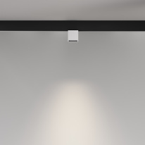 Цена на Светильник на шине Maytoni Technical TR133-2-7W4K-W