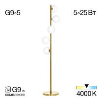 Фото  Citilux CL205950N