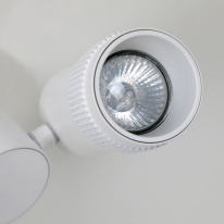 Купить с доставкой по Москве и России Спот Favourite 2453-1U