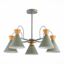 Купить с доставкой по Москве и России Люстра на штанге Evoluce SLE125112-05