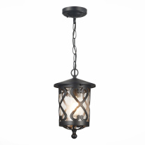 Фото Подвесной уличный светильник ST-Luce SL085.403.01