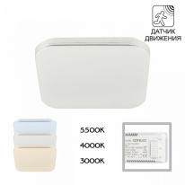 Фото Накладной светильник Citilux CL714K24SV