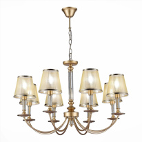 Фото Подвесная люстра Evoluce SLE1115-203-08