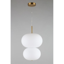 Купить Подвесной светильник APLOYT APL.646.06.20