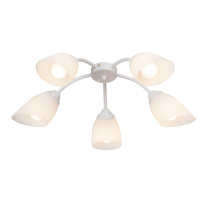 Фото Накладная люстра Vitaluce V3194/5PL