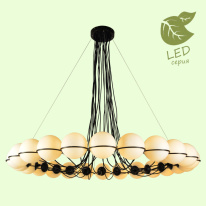 Фото Подвесная люстра Lussole GRLSP-8176