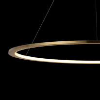 Купить с доставкой по Москве и России Подвесной светильник LOFT IT 10014L