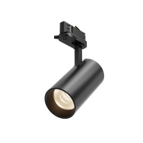 Фото Maytoni Technical TR197-3-20WCCT-M-B