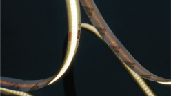 Цена на Лента SWG pro SWG-COB840-24-18-RGBWW