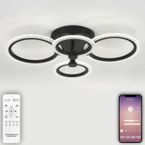 Фото Накладная люстра Natali Kovaltseva LED LAMPS 81233