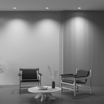 Встраиваемый светильник Maytoni Technical DL001-1-01-W-1 в интернет магазине Гет Лайт