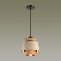 Купить Подвесной светильник Odeon Light 4992/1