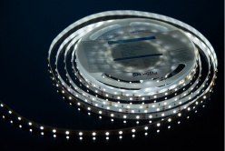 Фото Лента DesignLed DSG360-12-W-33