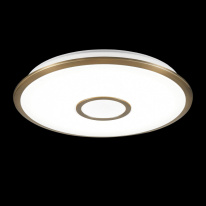 Купить Накладной светильник Citilux CL703A63G