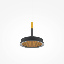 Купить с доставкой по Москве и России Подвесной светильник Maytoni MOD041PL-L15GB3K
