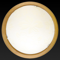 Купить Накладной светильник TOPLIGHT TL9640Y-00OA