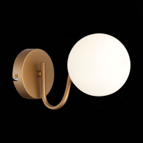 Бра Evoluce SLE220601-01 Купить Бра Evoluce SLE220601-01