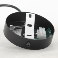 Купить с доставкой по Москве и России Подвесной светильник Lussole LSP-8571