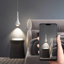 Купить с доставкой по Москве и России Подвесной светильник ImperiumLoft 240100-23