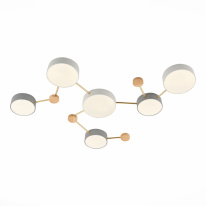 Купить Накладной светильник Evoluce SLE600102-06